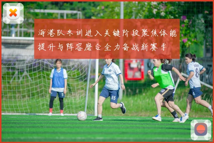海港队冬训进入关键阶段聚焦体能提升与阵容磨合全力备战新赛季