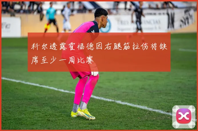 科尔透露霍福德因右腿筋拉伤将缺席至少一周比赛
